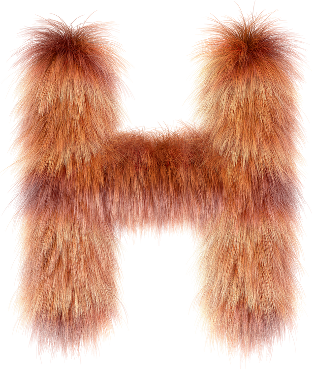 3d fox fur letter H